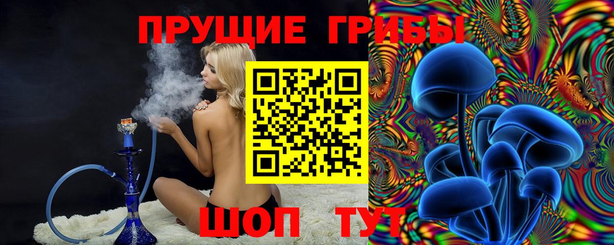 Галлюциногенные грибы Cubensis Кашира