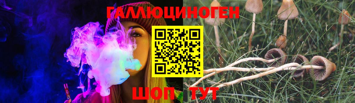 Псилоцибиновые грибы Magic Shrooms  Вход с VPN  Кашира  Галлюциногенные грибы MAGIC MUSHROOMS 
